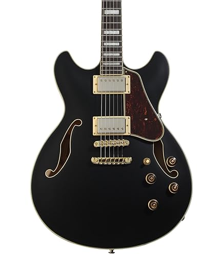 N2240 Ibanez ARTCORE アーチトップギター N2240 Ibanez ARTCORE アーチトップギター - メルカリ